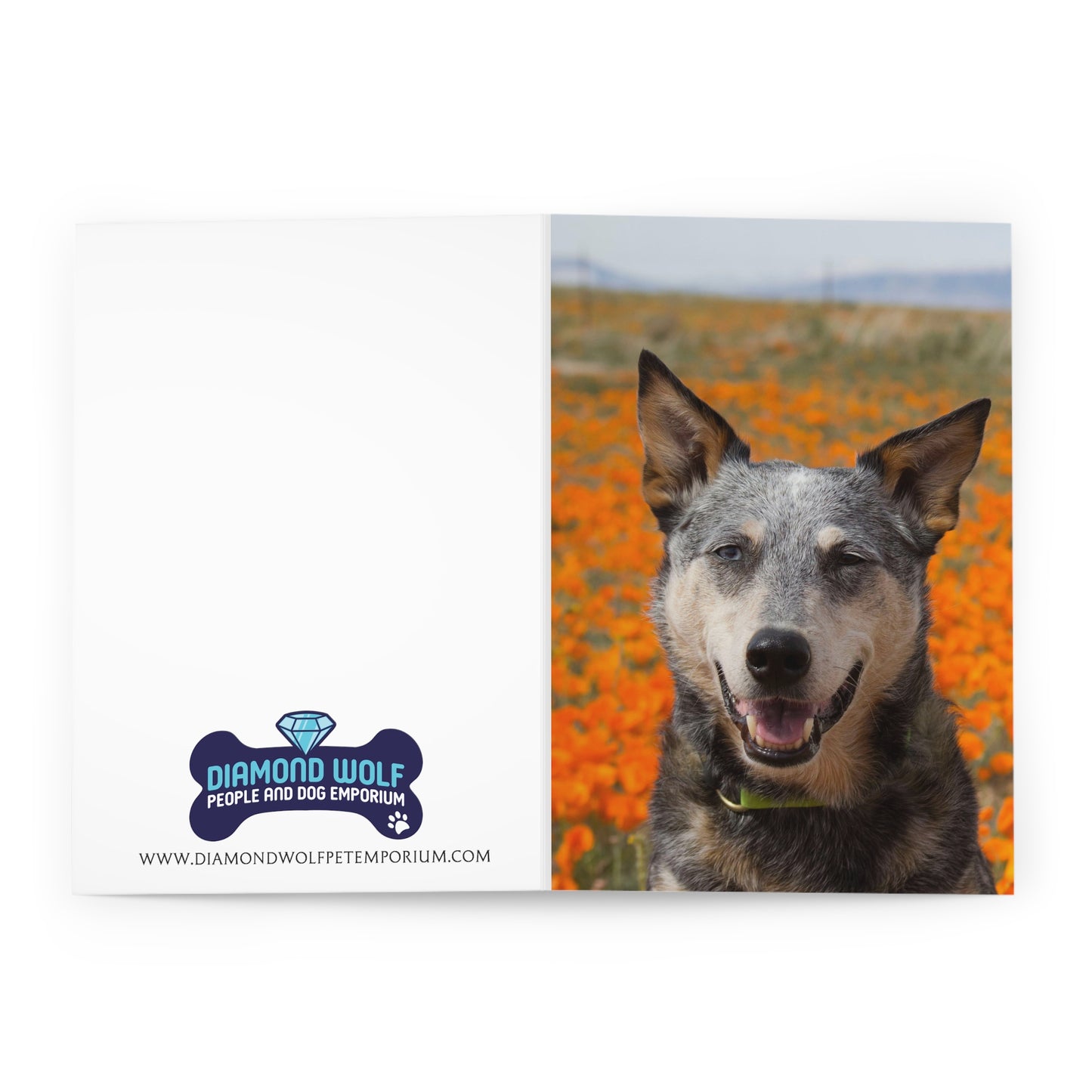 Poppy Field Nature Dog Greeting Cards (5 Pack)