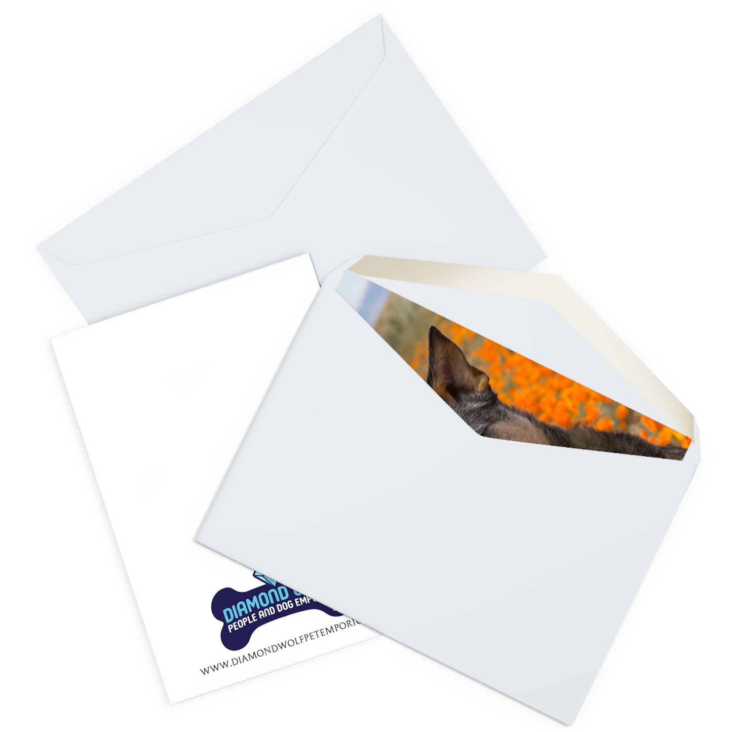 Poppy Field Nature Dog Greeting Cards (5 Pack)