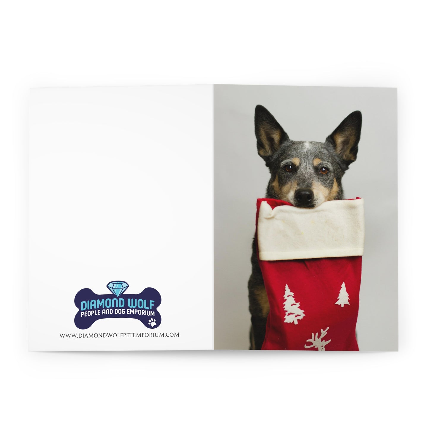Christmas Dog Greeting Cards (5 Pack)
