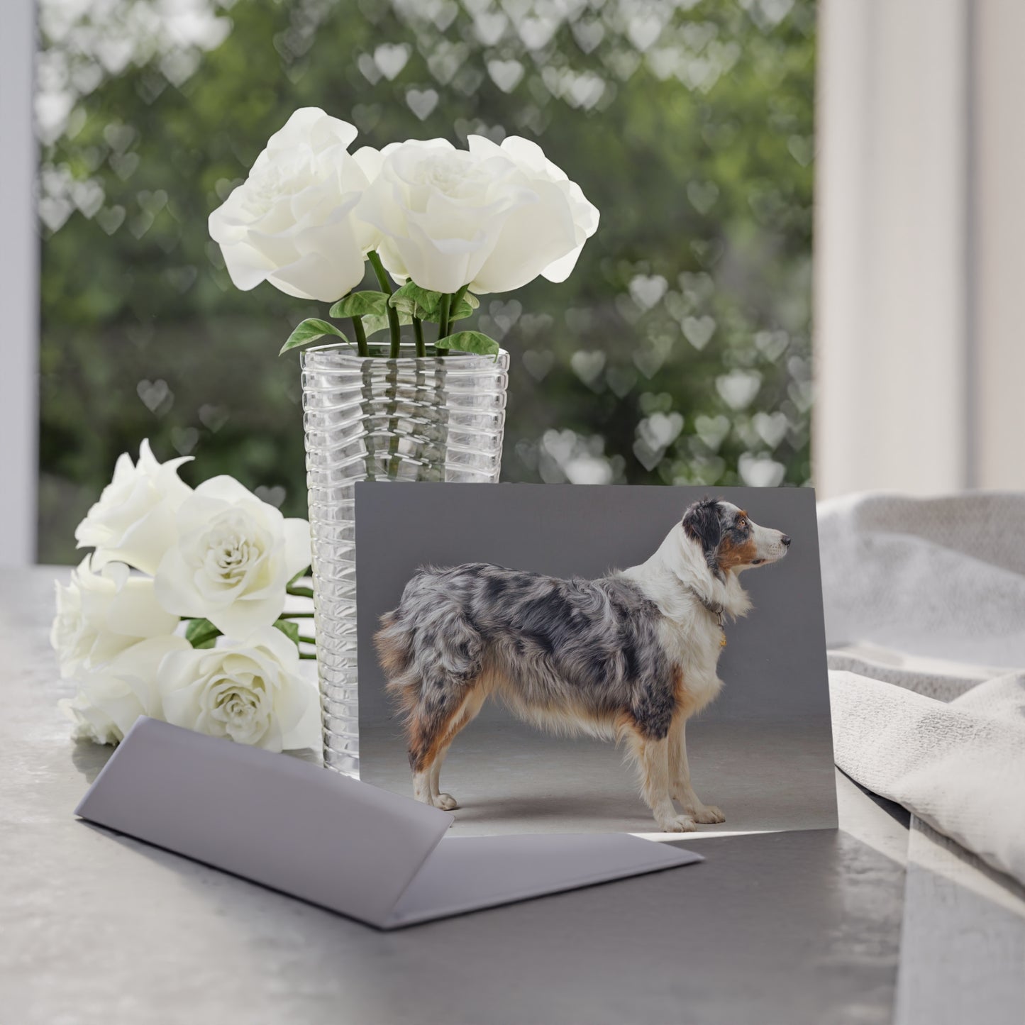 Australian Shepherd Holiday Cards (Two-sided print)