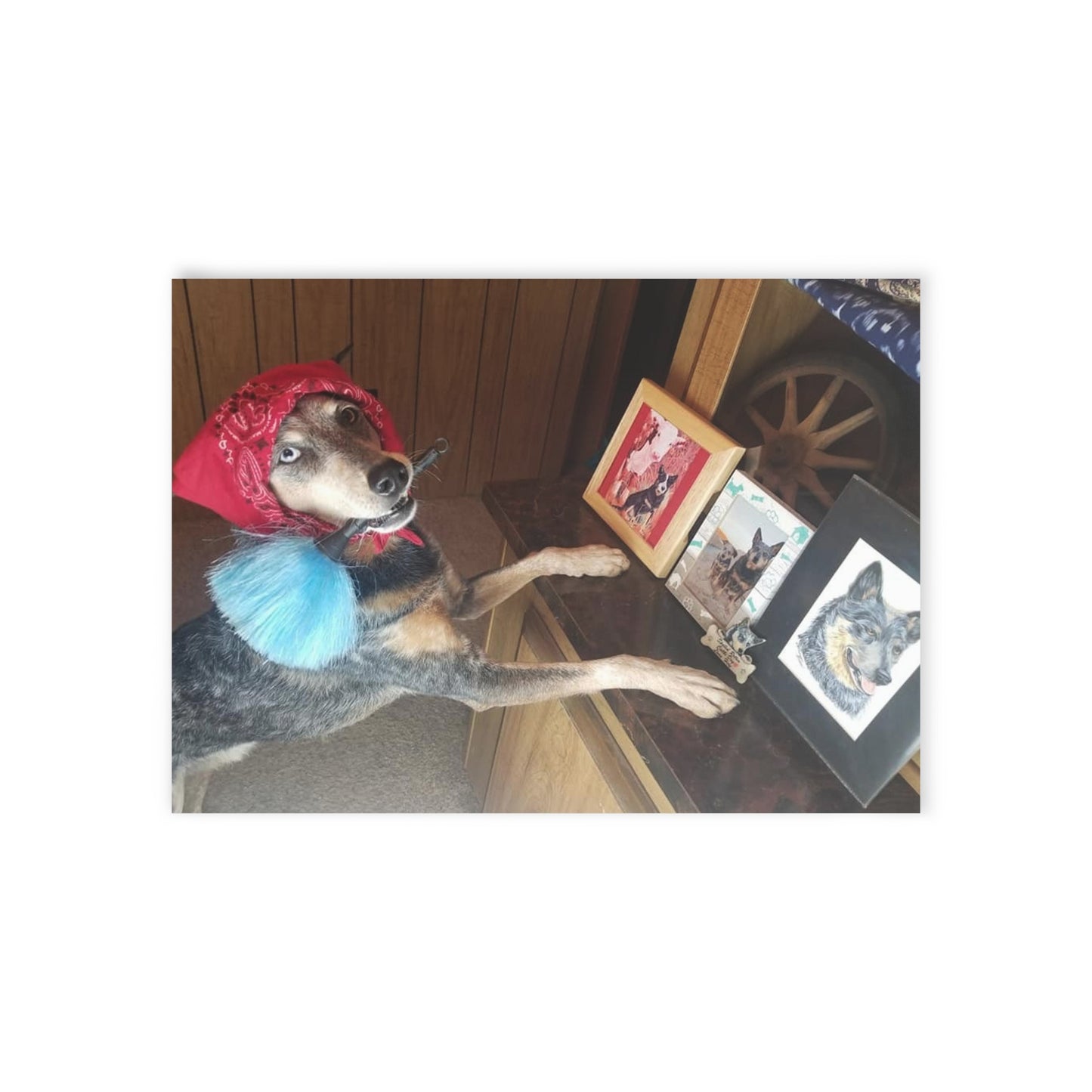 Adorable Dog Dusting Greeting Cards - Two-sided Print for Any Occasion