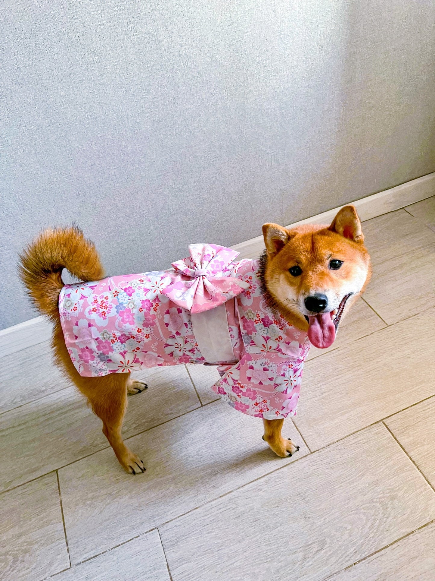 Summer Kimono Pet Clothes - Japanese Style Dog Outfits