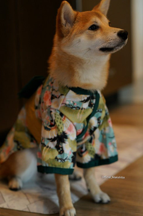 Summer Kimono Pet Clothes - Japanese Style Dog Outfits