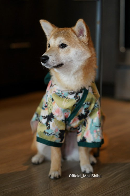 Summer Kimono Pet Clothes - Japanese Style Dog Outfits