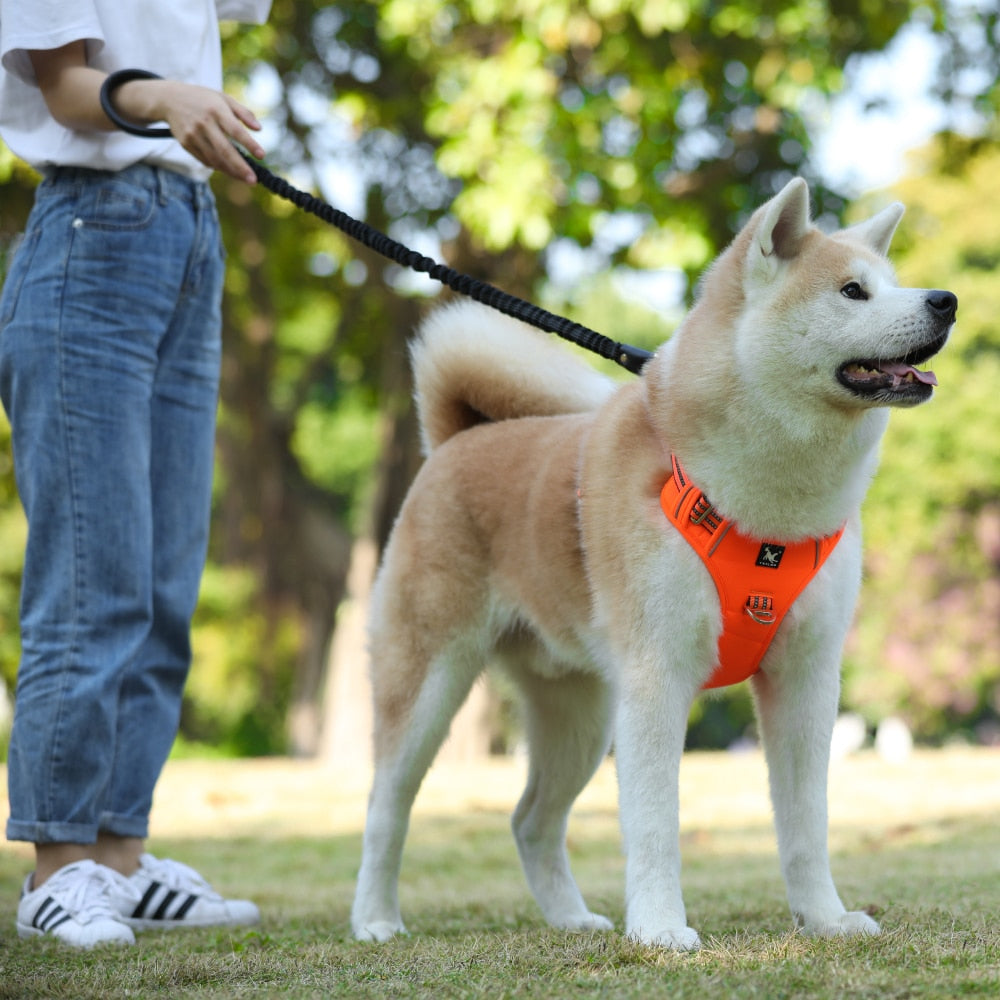 Reflective Adjustable Dog Vest with Handle for Big and Medium Dogs - 1000D Oxford Cloth Harness