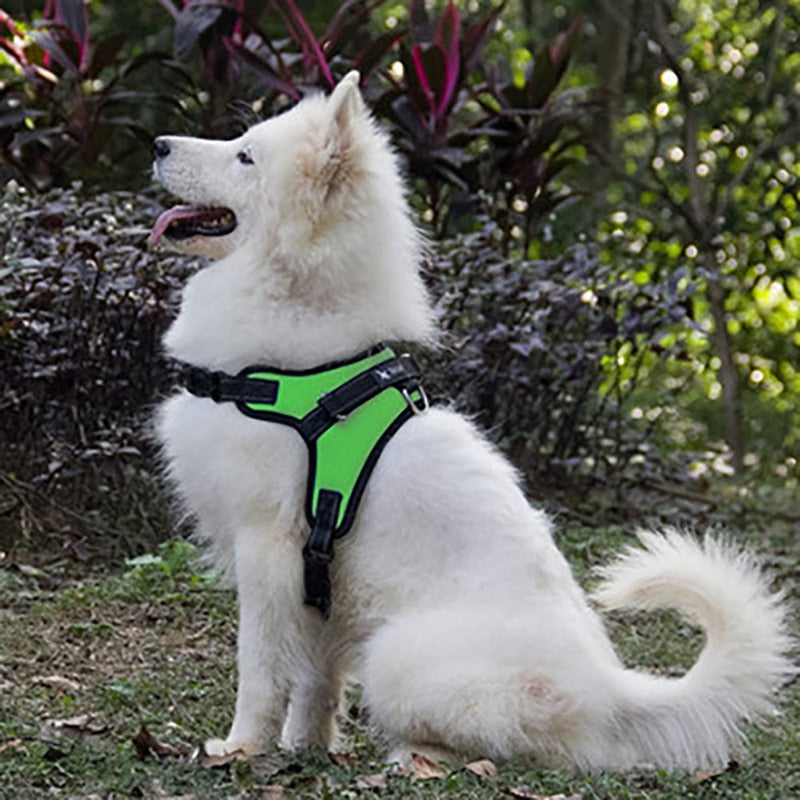 Dog Soft Adjustable Harness Pet Large Dog Walk Out Harness Vest Collar Hand Strap for Small Medium Large Dogs