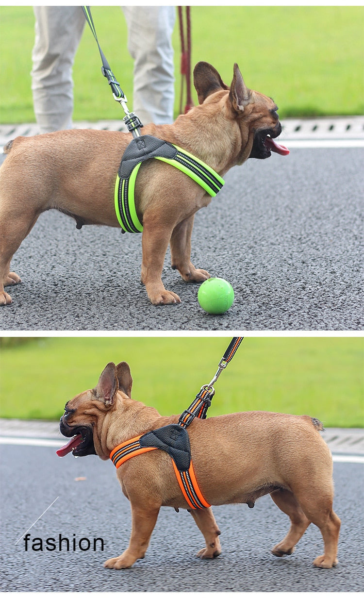 Adjustable Dog Harness with Reflective Strips - Breathable Nylon Mesh - Pet Collar Matching Leash for Dogs (Leash Sold Separately)
