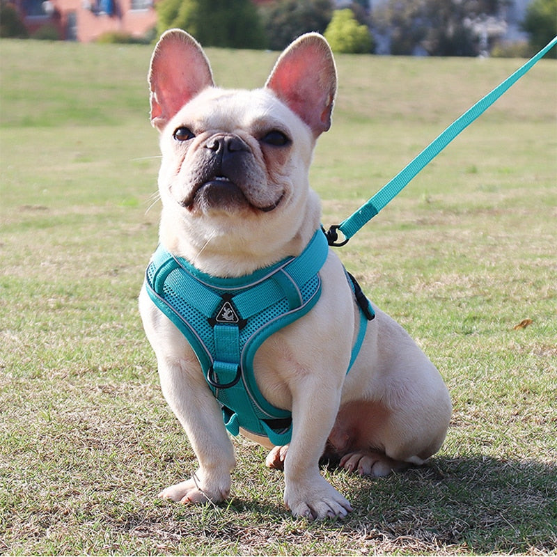 Reflective No Pull Dog Harness and Leash Set for Small to Medium Dogs - Adjustable Pet Harness Vest with Mesh Chest Strap