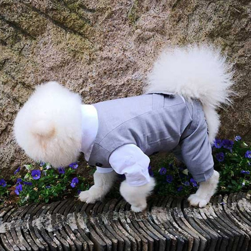 Dog Tuxedo Suit - Formal Vest with Bow Tie for Small and Medium Breed Dogs - Perfect for Weddings, Birthday Parties, and Formal Occasions