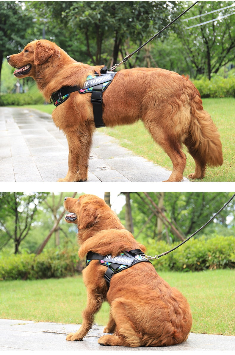 Personalized Reflective Dog Harness - Adjustable, Breathable and No-Pull Nylon Vest with Neck Guard