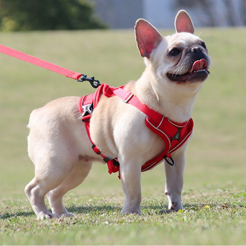 Reflective No Pull Dog Harness and Leash Set for Small to Medium Dogs - Adjustable Pet Harness Vest with Mesh Chest Strap