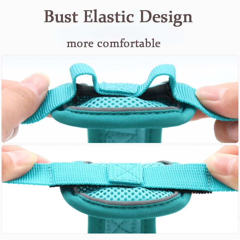 Reflective No Pull Dog Harness and Leash Set for Small to Medium Dogs - Adjustable Pet Harness Vest with Mesh Chest Strap