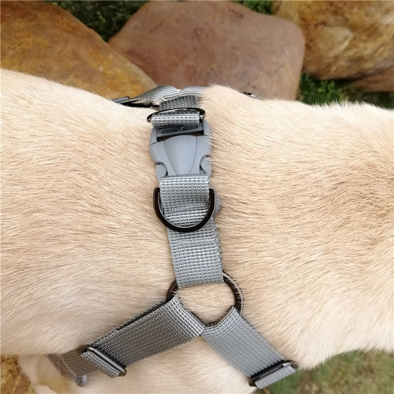 Reflective Sport X5 Dog Harness - No Pull Vest for Small and Medium Pets