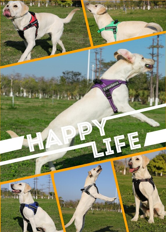 Truelove No-Pull Dog Harness with Reflective Stitching - Suitable for Outdoor Adventures and Large Breeds - TLH5753
