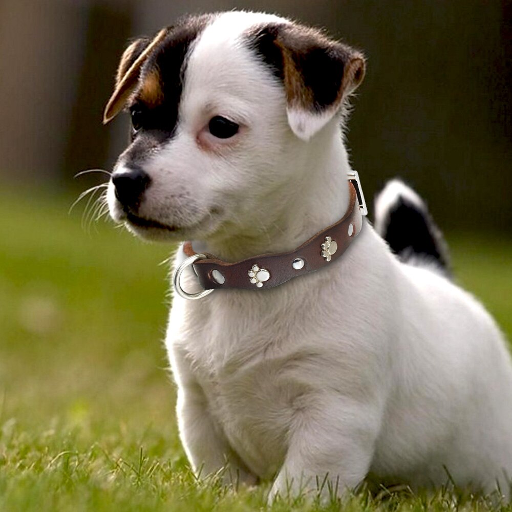 Adjustable Studded Leather Dog Collar - Soft and Durable Collars for Puppies and Small to Medium Breeds - Available in Brown Color - XXS, XS, S, M sizes