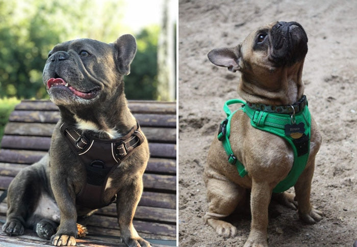 Reflective Truelove Dog Harness - Durable and Safe for Running, Walking, and Travel - Available in Small and Large Sizes