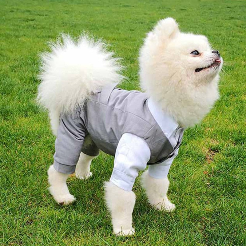 Dog Tuxedo Suit - Formal Vest with Bow Tie for Small and Medium Breed Dogs - Perfect for Weddings, Birthday Parties, and Formal Occasions