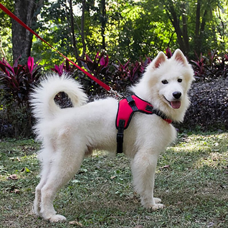 Dog Soft Adjustable Harness Pet Large Dog Walk Out Harness Vest Collar Hand Strap for Small Medium Large Dogs