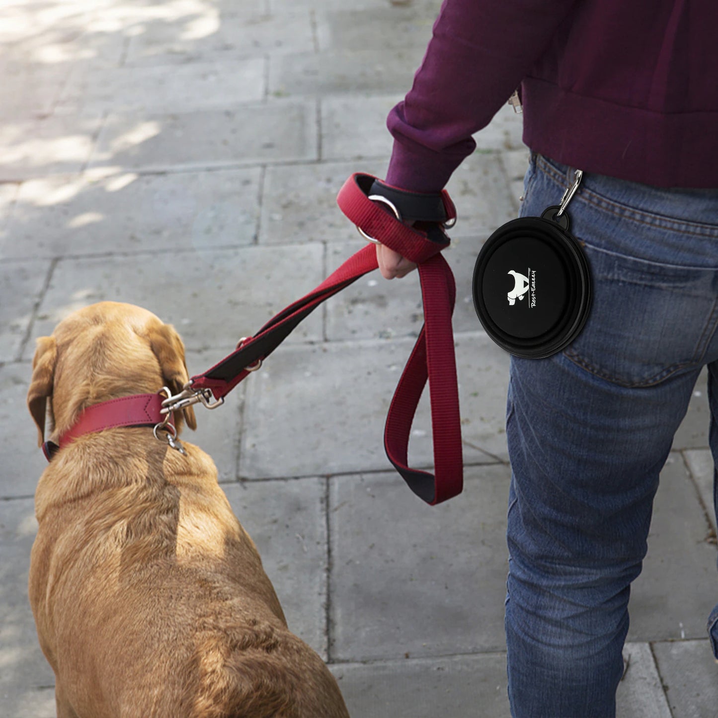Collapsible Dog Bowls for Travel - Portable and Lightweight Water and Food Dish for Dogs - Available in S and L Sizes - Perfect for Camping and Outdoor Activities