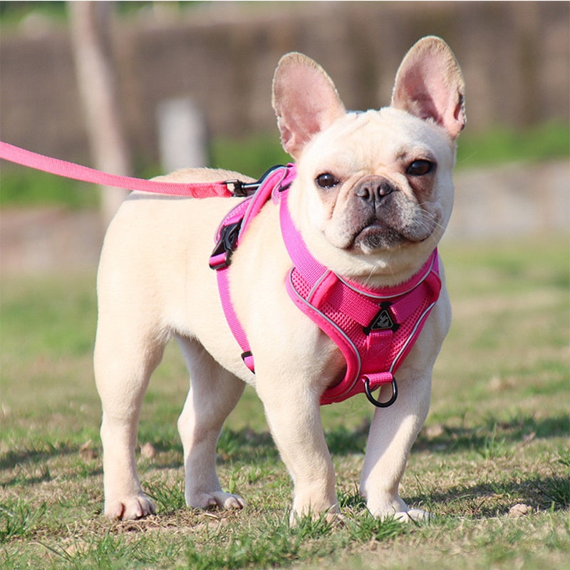 Reflective No Pull Dog Harness and Leash Set for Small to Medium Dogs - Adjustable Pet Harness Vest with Mesh Chest Strap