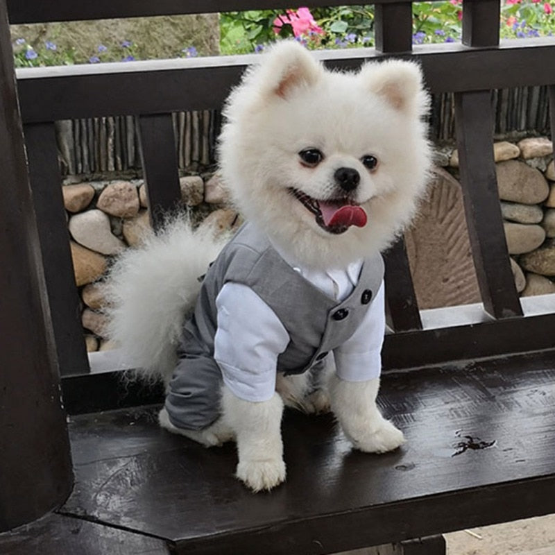 Dog Tuxedo Suit - Formal Vest with Bow Tie for Small and Medium Breed Dogs - Perfect for Weddings, Birthday Parties, and Formal Occasions