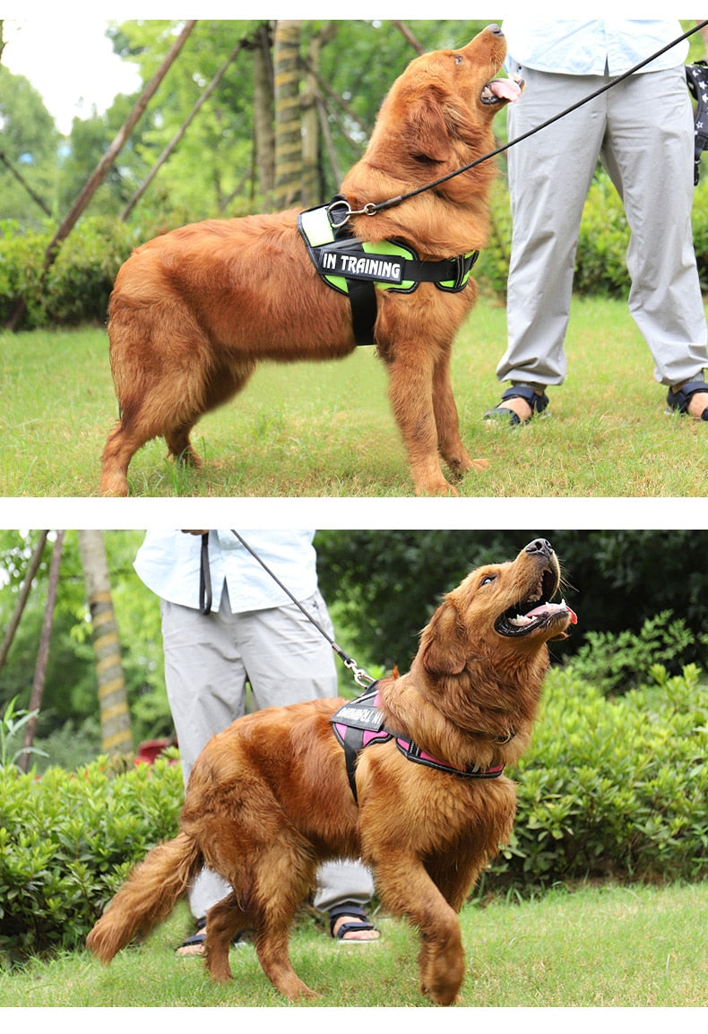 Personalized Reflective Dog Harness - Adjustable, Breathable and No-Pull Nylon Vest with Neck Guard