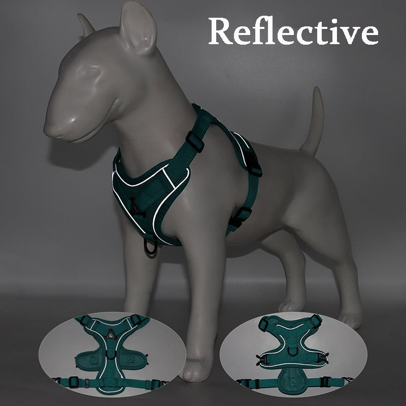 Reflective No Pull Dog Harness and Leash Set for Small to Medium Dogs - Adjustable Pet Harness Vest with Mesh Chest Strap