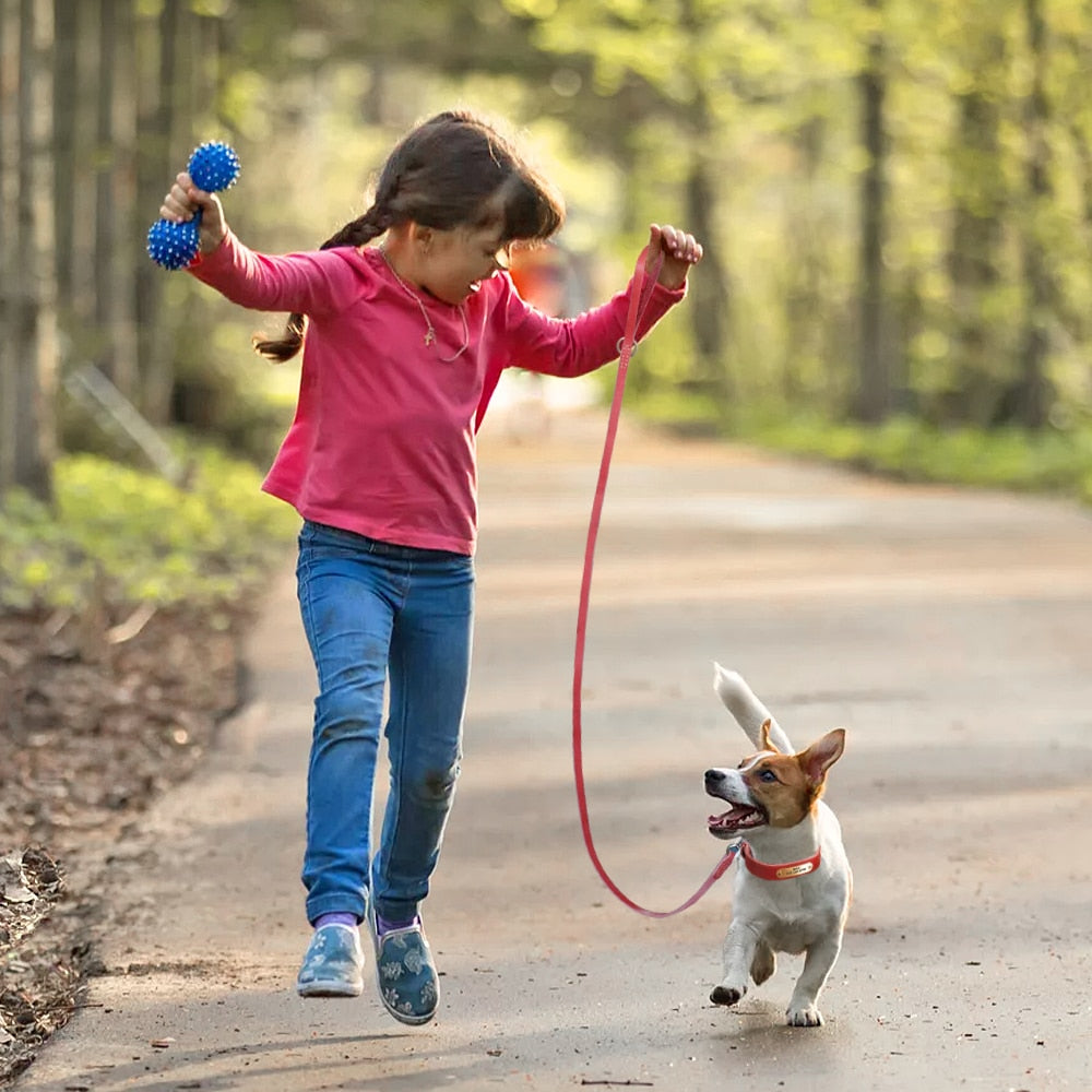 Personalized Leather Dog Collar and Leash Set with Engraved Nameplate for Small, Medium, and Large Dogs