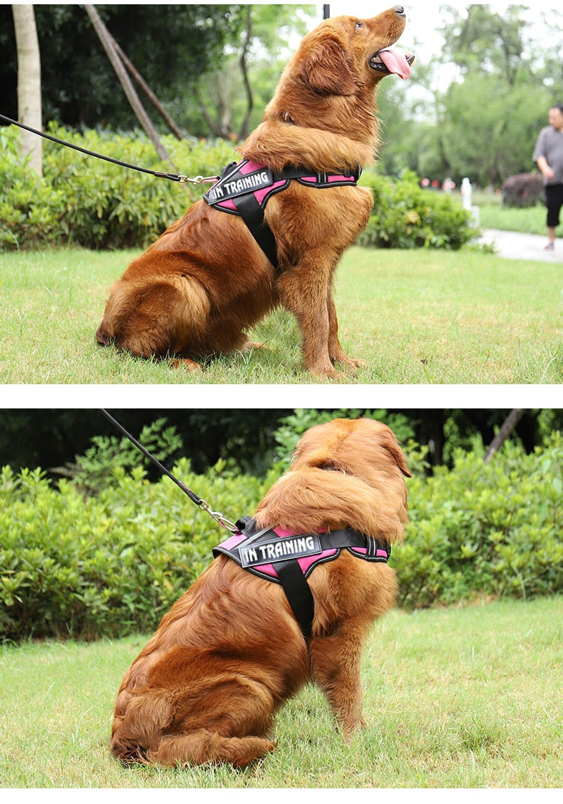 Personalized Reflective Dog Harness - Adjustable, Breathable and No-Pull Nylon Vest with Neck Guard