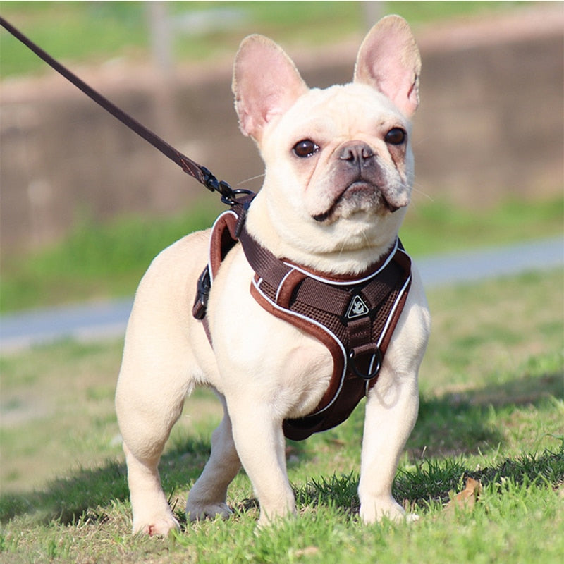 Reflective No Pull Dog Harness and Leash Set for Small to Medium Dogs - Adjustable Pet Harness Vest with Mesh Chest Strap
