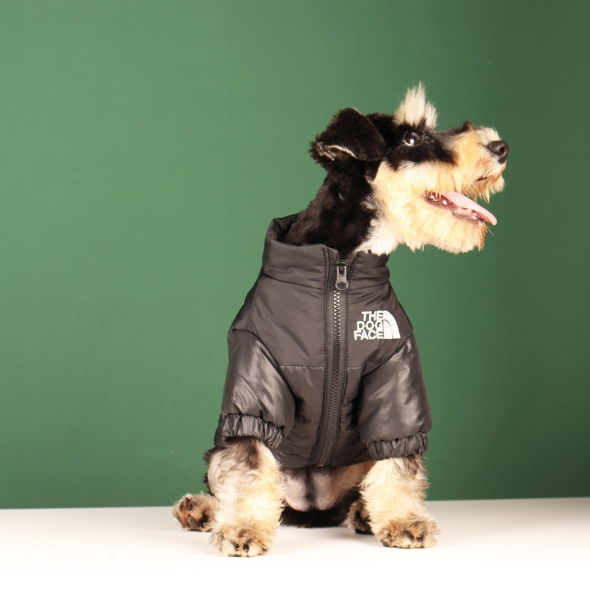 Warm and Windproof Winter Dog Jacket - Reflective, Pet Outfits for Small, Medium, and Large Breeds