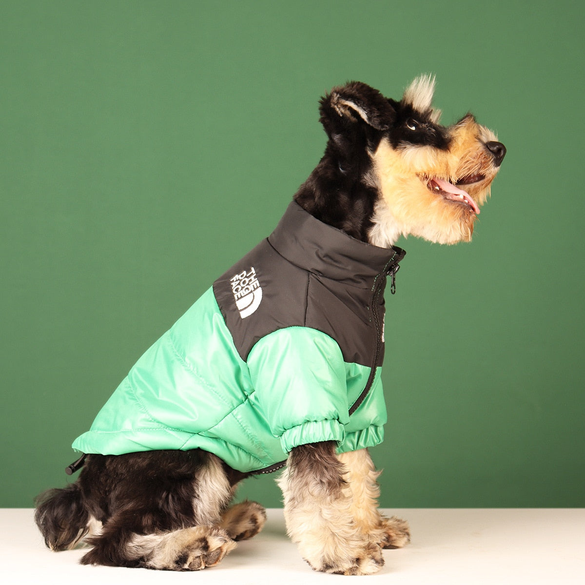 Warm and Windproof Winter Dog Jacket - Reflective, Pet Outfits for Small, Medium, and Large Breeds