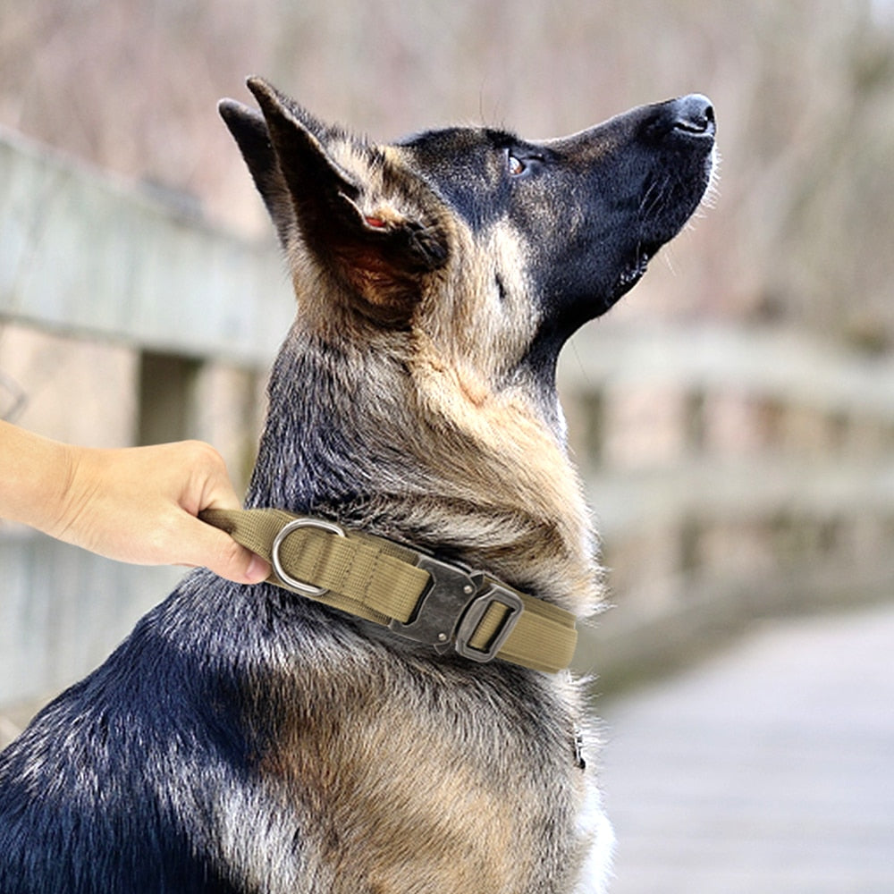 Durable Military Tactical Dog Collar Bungee Leash Set Pet Nylon Walking Training Collar For Medium Large Dogs