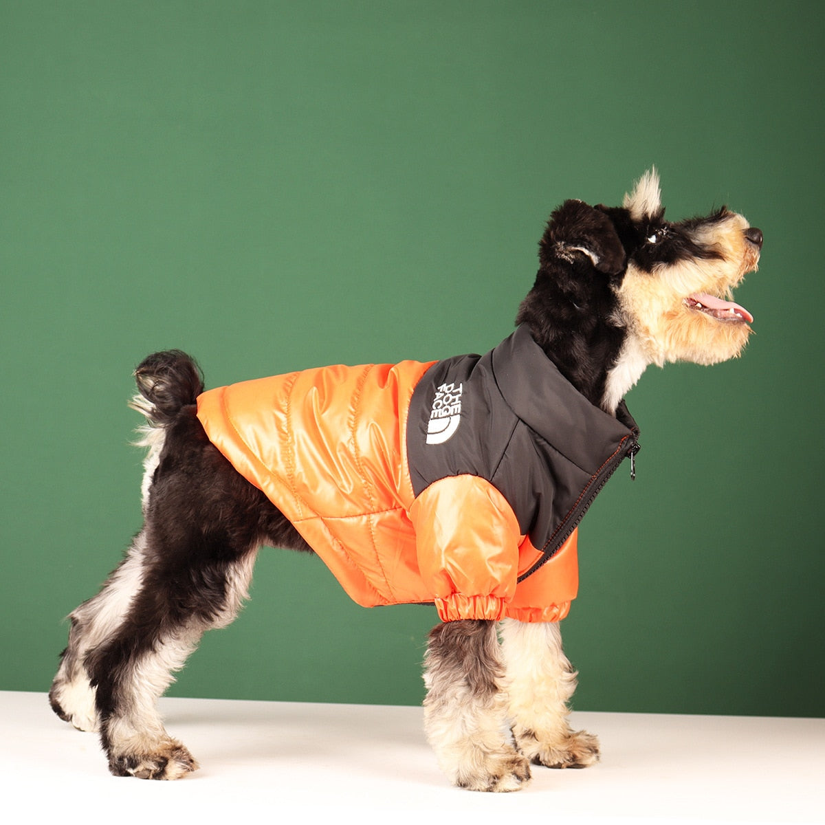 Warm and Windproof Winter Dog Jacket - Reflective, Pet Outfits for Small, Medium, and Large Breeds