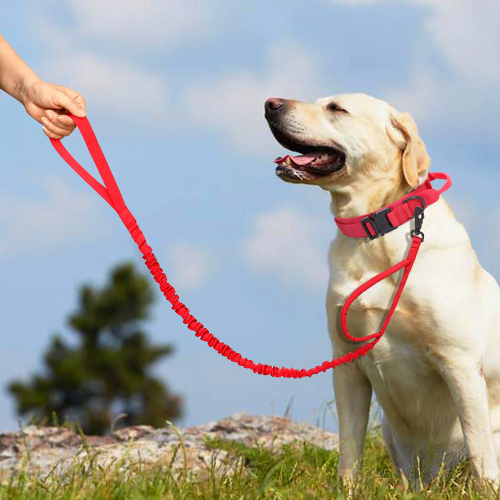 Durable Military Tactical Dog Collar Bungee Leash Set Pet Nylon Walking Training Collar For Medium Large Dogs