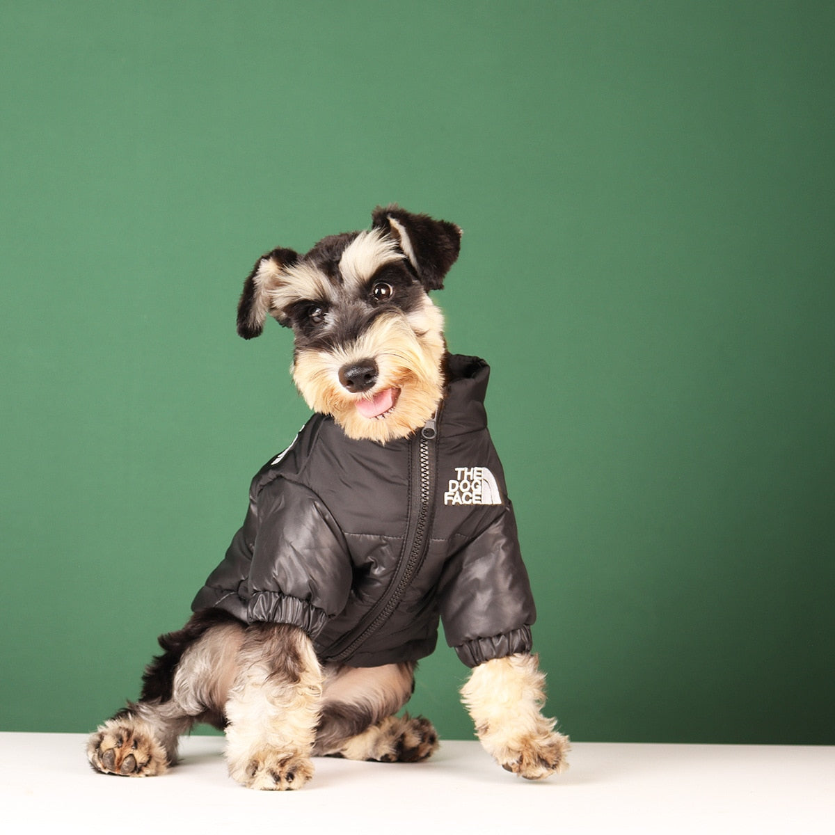 Warm and Windproof Winter Dog Jacket - Reflective, Pet Outfits for Small, Medium, and Large Breeds