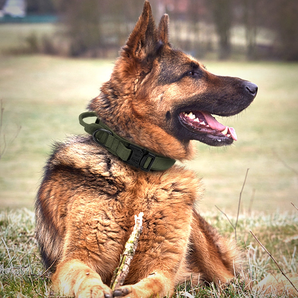 Durable Military Tactical Dog Collar Bungee Leash Set Pet Nylon Walking Training Collar For Medium Large Dogs