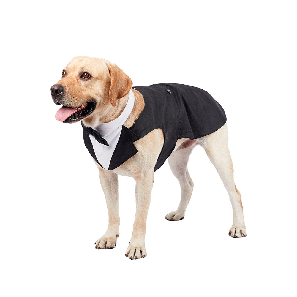 Formal Dog Tuxedo Suit with Bow Tie - Perfect for Weddings, Parties, and Halloween - Available in Small and Large Sizes