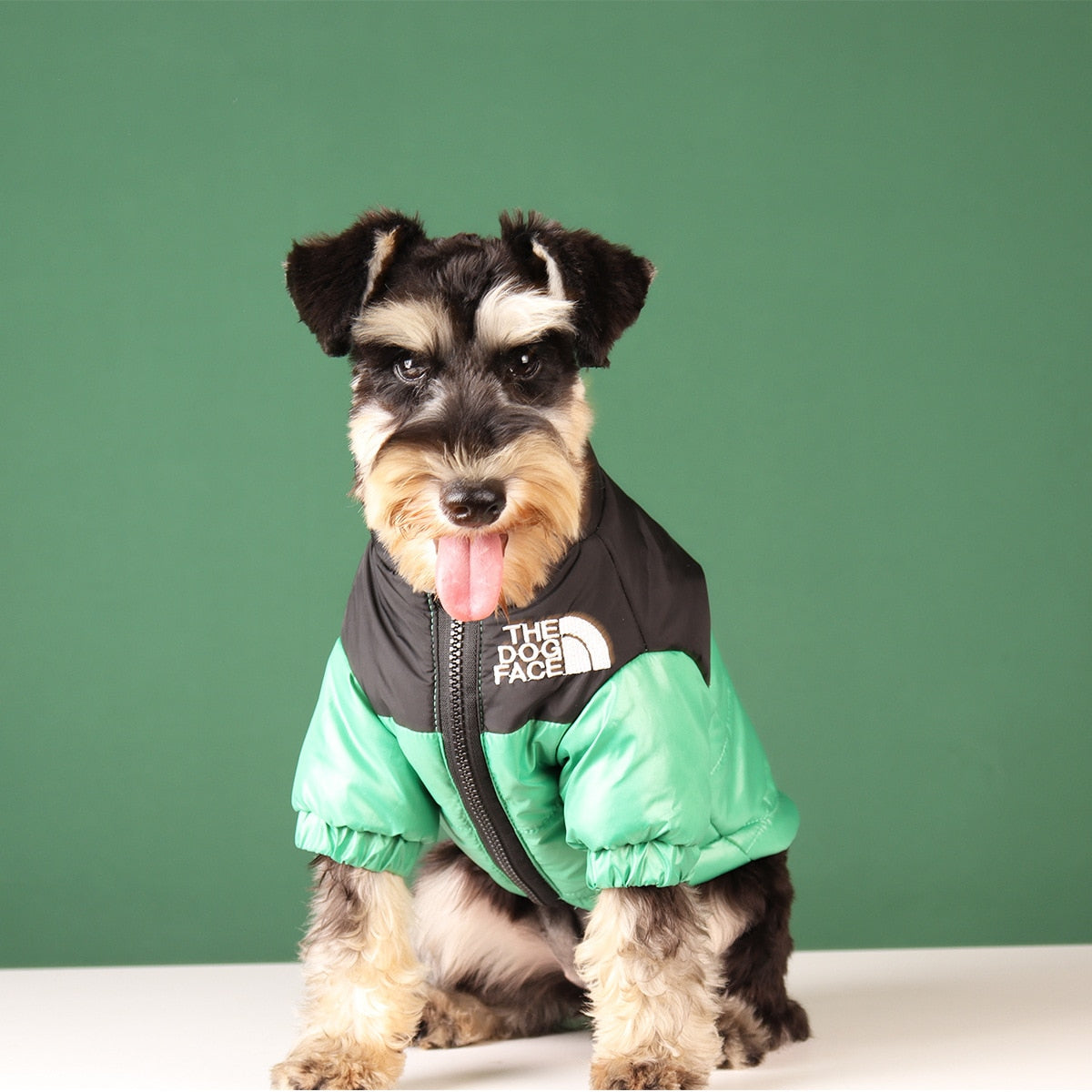 Warm and Windproof Winter Dog Jacket - Reflective, Pet Outfits for Small, Medium, and Large Breeds