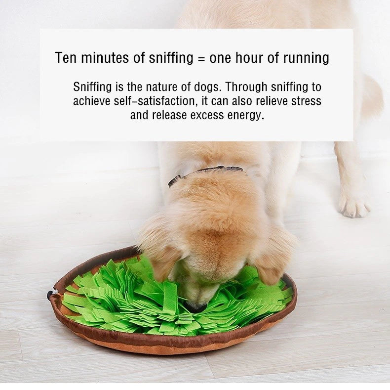 Slow Feeding Snuffle Mat for Dogs - Interactive Puzzle Toy and Smell Training Pad for Nosework - Washable and Food Dispensing - Perfect for Dog Toys