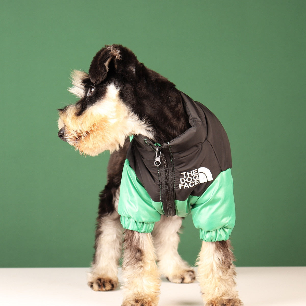 Warm and Windproof Winter Dog Jacket - Reflective, Pet Outfits for Small, Medium, and Large Breeds