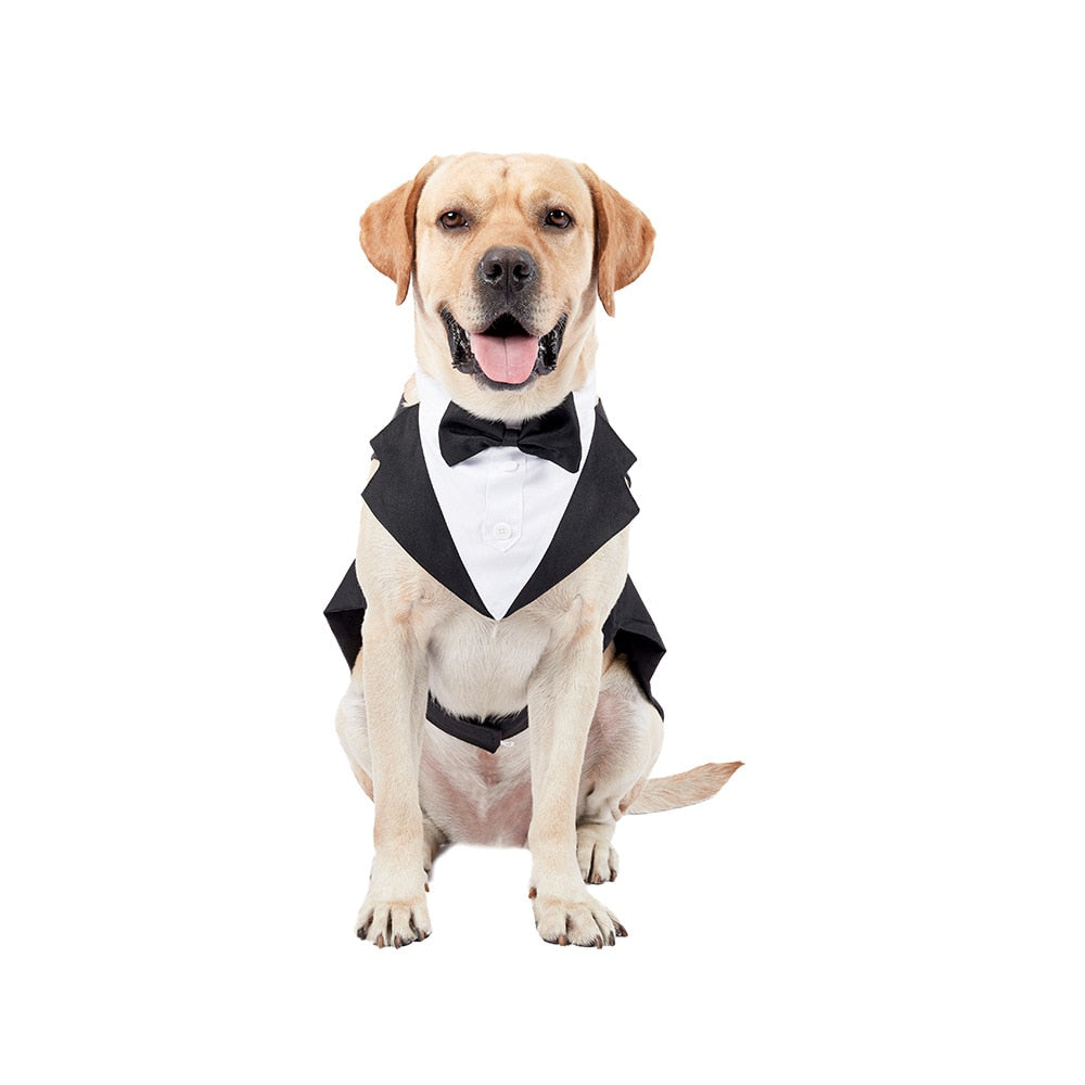 Formal Dog Tuxedo Suit with Bow Tie - Perfect for Weddings, Parties, and Halloween - Available in Small and Large Sizes