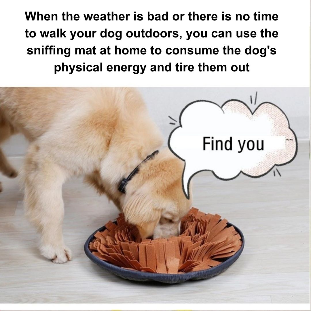 Slow Feeding Snuffle Mat for Dogs - Interactive Puzzle Toy and Smell Training Pad for Nosework - Washable and Food Dispensing - Perfect for Dog Toys
