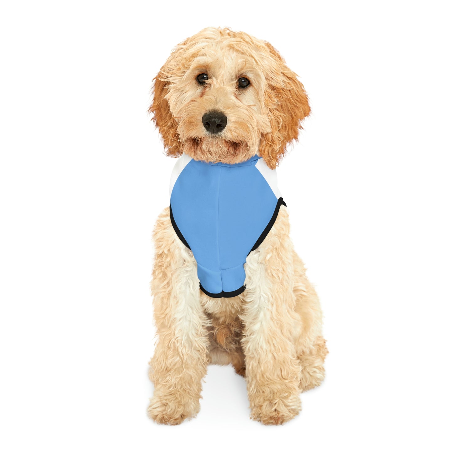 "Can't Hold My Licker" Dog Hoodie