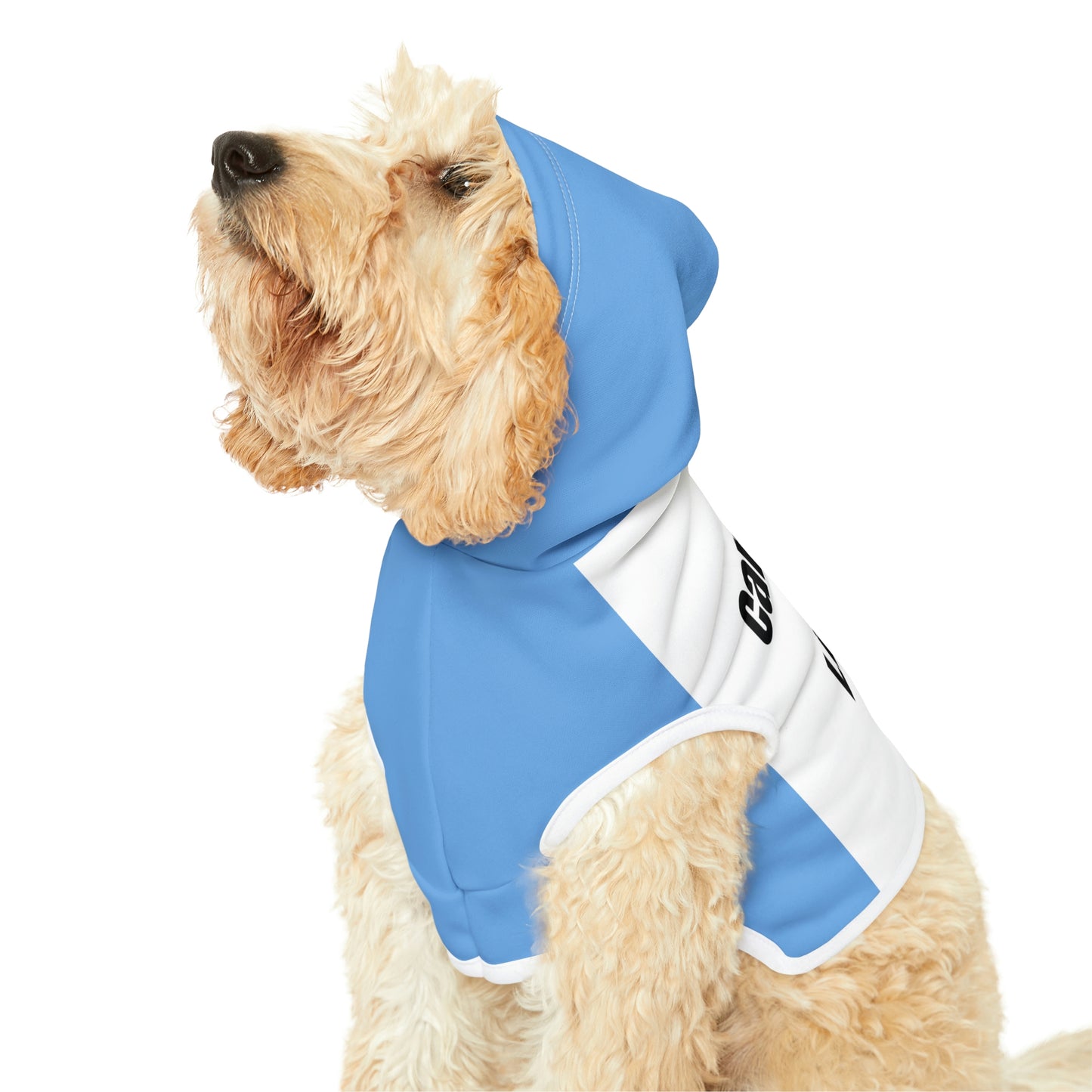 "Can't Hold My Licker" Dog Hoodie
