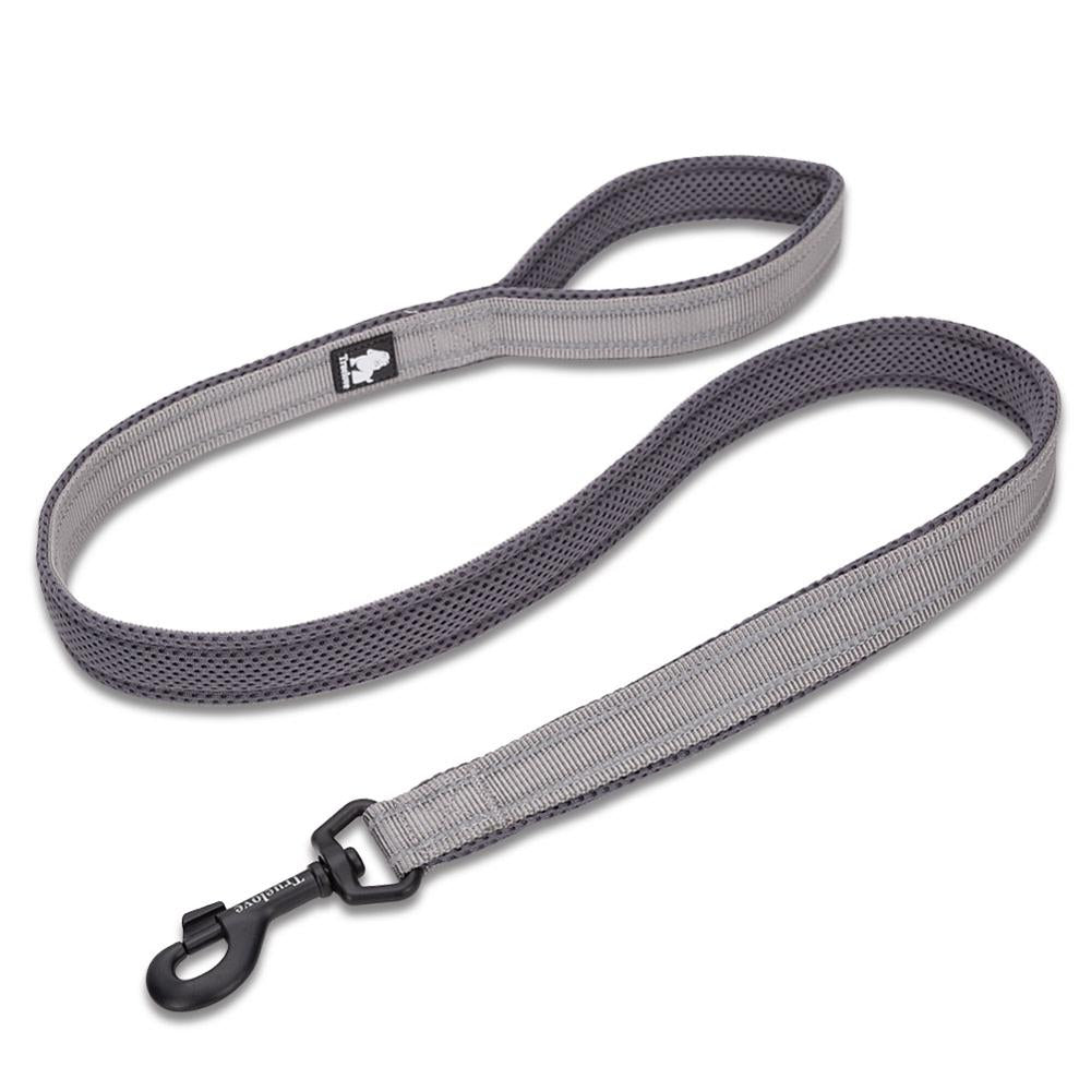 Truelove Reflective 3FT Dog Leash - Nylon Mesh Padded Leash for Outdoor Training and Safety