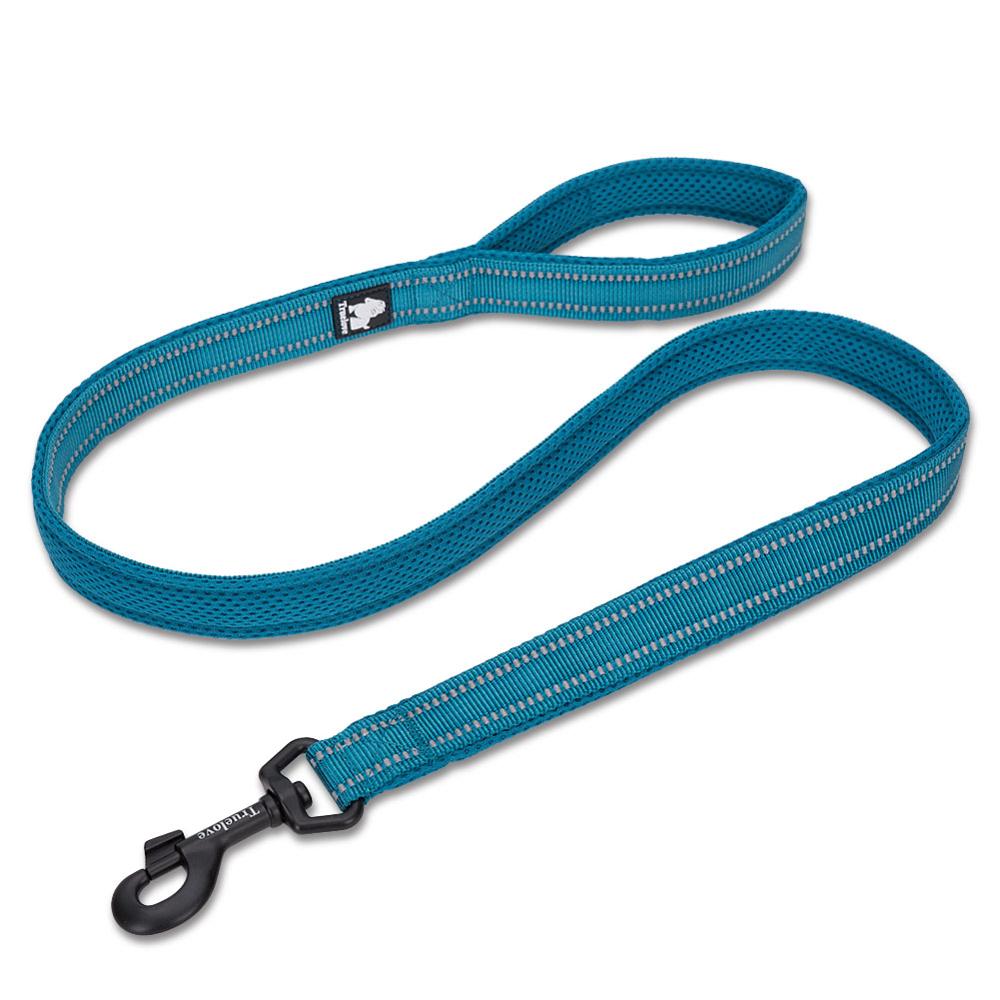 Truelove Reflective 3FT Dog Leash - Nylon Mesh Padded Leash for Outdoor Training and Safety