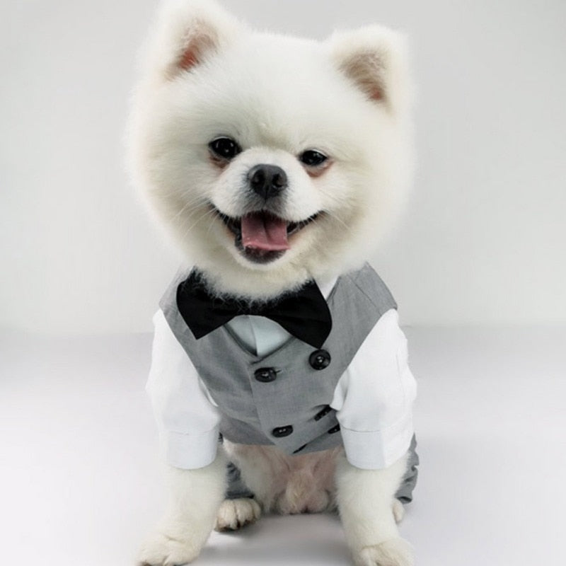 Dog Tuxedo Suit - Formal Vest with Bow Tie for Small and Medium Breed Dogs - Perfect for Weddings, Birthday Parties, and Formal Occasions