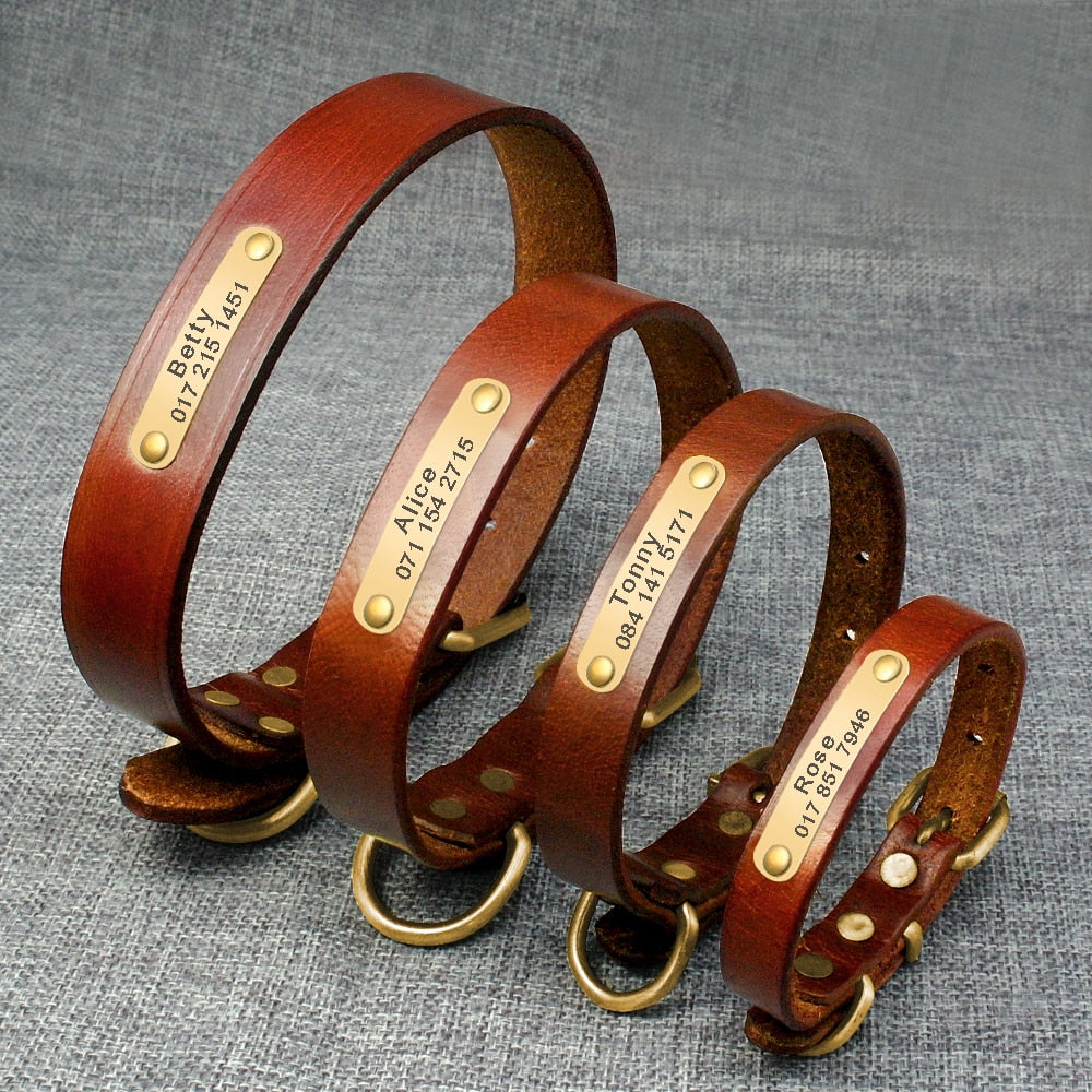 Personalized Leather Dog Collar with ID Nameplate - Custom Engraved Pet Name and Phone Number - Suitable for Small to Medium Dogs