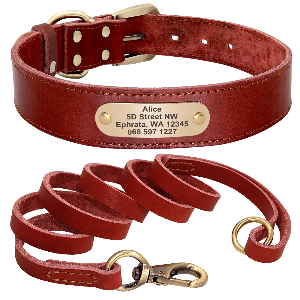 Personalized Leather Dog Collar and Leash Set with Engraved Nameplate for Small, Medium, and Large Dogs